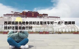 西藏旅游当地参团好还是拼车好一点？西藏跟团好还是自由行好
