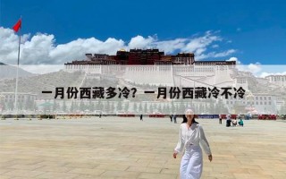 一月份西藏多冷？一月份西藏冷不冷