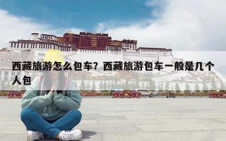 西藏旅游怎么包车？西藏旅游包车一般是几个人包
