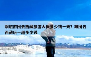 跟旅游团去西藏旅游大概多少钱一天？跟团去西藏玩一趟多少钱