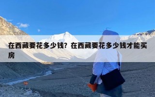 在西藏要花多少钱？在西藏要花多少钱才能买房