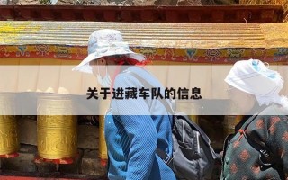 关于进藏车队的信息