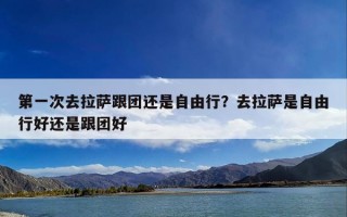 第一次去拉萨跟团还是自由行？去拉萨是自由行好还是跟团好