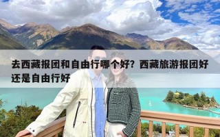 去西藏报团和自由行哪个好？西藏旅游报团好还是自由行好