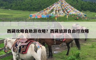 西藏攻略自助游攻略？西藏旅游自由行攻略