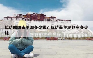 拉萨跟团去羊湖多少钱？拉萨去羊湖包车多少钱