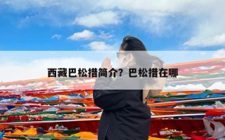 西藏巴松措简介？巴松措在哪