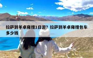 拉萨到羊卓雍措1日游？拉萨到羊卓雍措包车多少钱