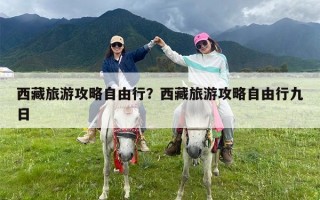 西藏旅游攻略自由行？西藏旅游攻略自由行九日