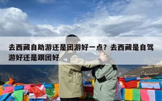 去西藏自助游还是团游好一点？去西藏是自驾游好还是跟团好