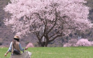 四月份去西藏旅游需要准备什么东西？四月去西藏玩有什么必备物品？
