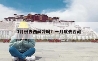 1月份去西藏冷吗？一月底去西藏