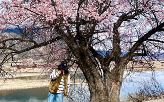 西藏旅游7日游费用人均需要多少钱？去西藏玩7天每人要带多少钱？