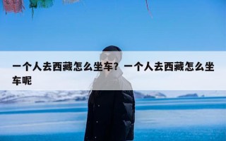 一个人去西藏怎么坐车？一个人去西藏怎么坐车呢