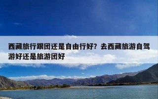 西藏旅行跟团还是自由行好？去西藏旅游自驾游好还是旅游团好