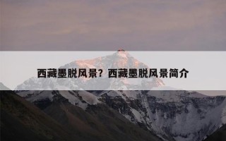 西藏墨脱风景？西藏墨脱风景简介