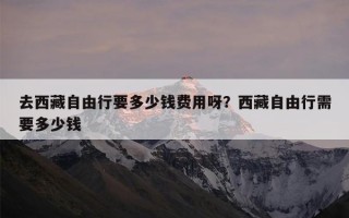 去西藏自由行要多少钱费用呀？西藏自由行需要多少钱