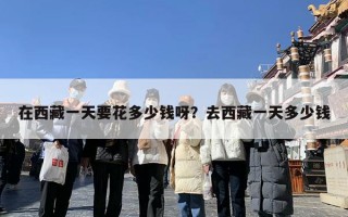 在西藏一天要花多少钱呀？去西藏一天多少钱