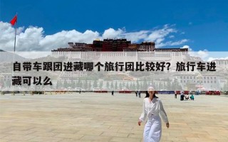自带车跟团进藏哪个旅行团比较好？旅行车进藏可以么