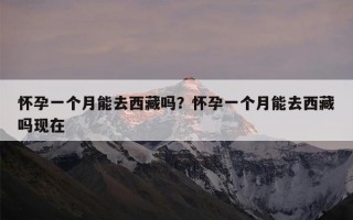 怀孕一个月能去西藏吗？怀孕一个月能去西藏吗现在