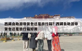 西藏自助游带背包还是旅行箱？西藏自助游带背包还是旅行箱好用