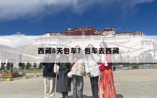 西藏8天包车？包车去西藏