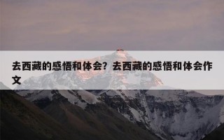 去西藏的感悟和体会？去西藏的感悟和体会作文