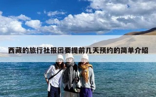西藏的旅行社报团要提前几天预约的简单介绍