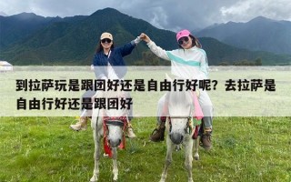 到拉萨玩是跟团好还是自由行好呢？去拉萨是自由行好还是跟团好