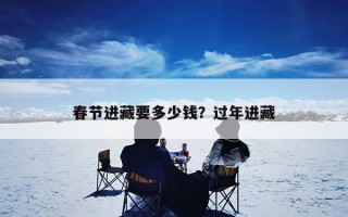 春节进藏要多少钱？过年进藏