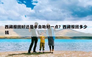 西藏报团好还是半自助好一点？西藏报团多少钱