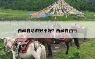 西藏自助游好不好？西藏自由行
