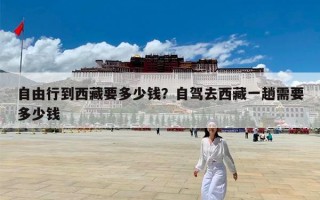 自由行到西藏要多少钱？自驾去西藏一趟需要多少钱