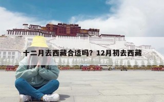十二月去西藏合适吗？12月初去西藏