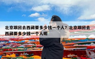 北京跟团去西藏要多少钱一个人？北京跟团去西藏要多少钱一个人呢