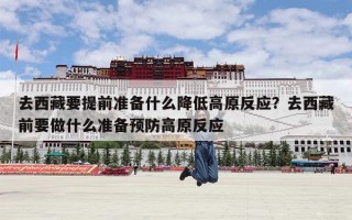 去西藏要提前准备什么降低高原反应？去西藏前要做什么准备预防高原反应