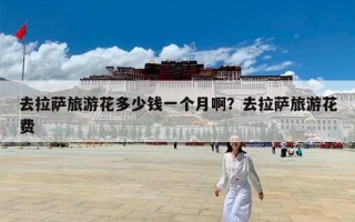 去拉萨旅游花多少钱一个月啊？去拉萨旅游花费