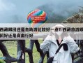 西藏跟团还是自助游比较好一点？西藏旅游跟团好还是自由行好