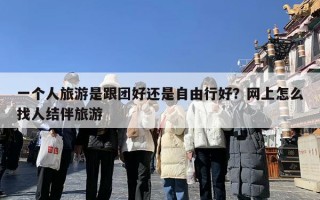 一个人旅游是跟团好还是自由行好？网上怎么找人结伴旅游