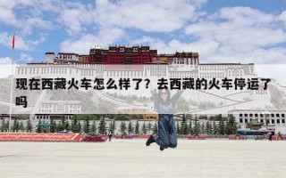 现在西藏火车怎么样了？去西藏的火车停运了吗