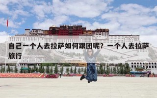 自己一个人去拉萨如何跟团呢？一个人去拉萨旅行