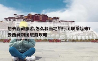 想去西藏旅游,怎么和当地旅行团联系起来？去西藏跟团旅游攻略