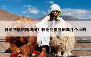 林芝到墨脱路线图？林芝到墨脱班车几个小时