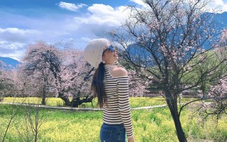 林芝桃花什么时候最好看？什么时候最适合去林芝看桃花？