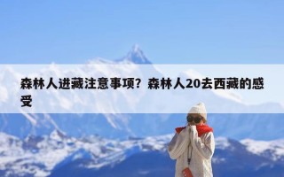 森林人进藏注意事项？森林人20去西藏的感受