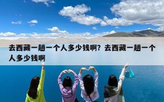 去西藏一趟一个人多少钱啊？去西藏一趟一个人多少钱啊