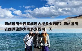 跟旅游团去西藏旅游大概多少钱啊？跟旅游团去西藏旅游大概多少钱啊一天