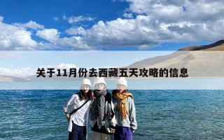 关于11月份去西藏五天攻略的信息