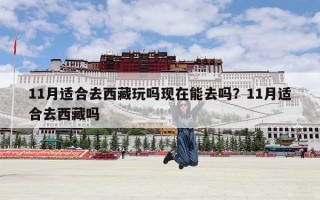 11月适合去西藏玩吗现在能去吗？11月适合去西藏吗