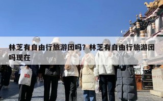 林芝有自由行旅游团吗？林芝有自由行旅游团吗现在